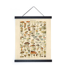 Load image into Gallery viewer, Vintage French Champignons Mushroom Print w/ optional frame: 11x14 / Print Only