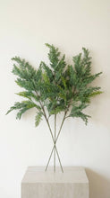 Load image into Gallery viewer, Real Touch Faux Christmas Stem, Cypress, 28 Inch