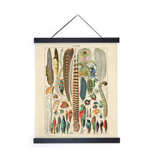 Load image into Gallery viewer, Vintage Millot Plumes Bird Feather Print w/ optional frame: 16x20 / Print Only