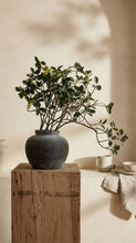 Load image into Gallery viewer, Terracotta Vase, Rounded Charcoal Form - Elna