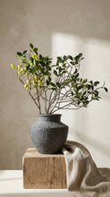Load image into Gallery viewer, Terracotta Vase, Flared Neck Charcoal Finish - Senna