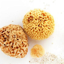 Load image into Gallery viewer, Natural Sea Sponge - Plastic Free Organic Sea Sponge: Grass Large
