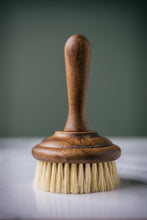 Load image into Gallery viewer, Brush - Dish Soap Scrub Brush - Tall
