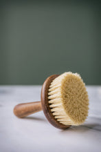 Load image into Gallery viewer, Brush - Dish Soap Scrub Brush - Tall
