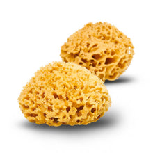 Load image into Gallery viewer, Natural Sea Sponge - Plastic Free Organic Sea Sponge: Grass Large
