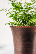 Load image into Gallery viewer, Pot -  Leather Effect Fluted Decorative Pots
