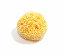 Load image into Gallery viewer, Natural Sea Sponge - Plastic Free Organic Sea Sponge: Grass Large
