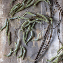 Load image into Gallery viewer, Artificial Stem - ARTIFICIAL TRAILING CATKIN
