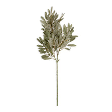 Load image into Gallery viewer, Artificial Stem - ARTIFICIAL WILLOW, SOFT GREEN
