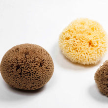 Load image into Gallery viewer, Natural Sea Sponge - Plastic Free Organic Sea Sponge: Grass Large
