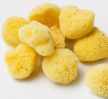 Load image into Gallery viewer, Natural Sea Sponge - Plastic Free Organic Sea Sponge: Grass Large
