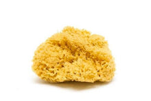 Load image into Gallery viewer, Natural Sea Sponge - Plastic Free Organic Sea Sponge: Grass Large
