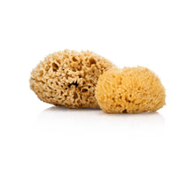 Load image into Gallery viewer, Natural Sea Sponge - Plastic Free Organic Sea Sponge: Grass Large
