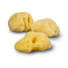 Load image into Gallery viewer, Natural Sea Sponge - Plastic Free Organic Sea Sponge: Grass Large
