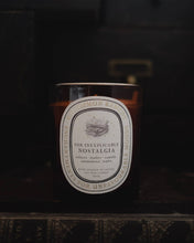 Load image into Gallery viewer, Tobacco, Leather, Vanilla: 220g Soy Wax Candle
