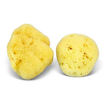 Load image into Gallery viewer, Natural Sea Sponge - Plastic Free Organic Sea Sponge: Grass Large
