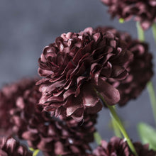 Load image into Gallery viewer, Artificial Stem - ARTIFICIAL CLOVE STEM
